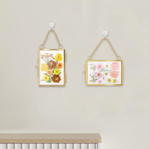 4 Pcs Hanging Pressed Flower Frames with Metal Chain