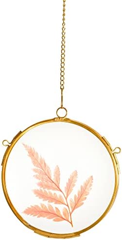 NCYP 43 Inch Double Glass Floating Frame for Photos and Pressed Flowers