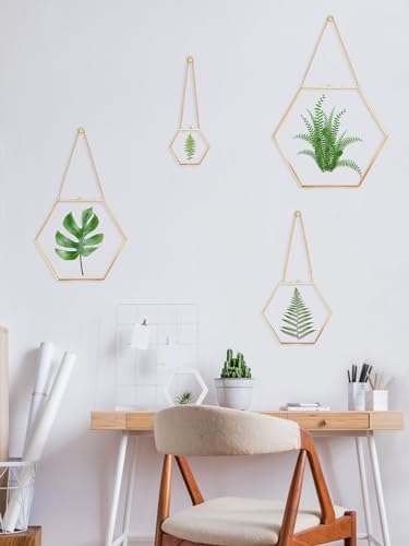 Redhugo Glass Pressed Flower Frame Hexagon Gold Brass Wall Hanging