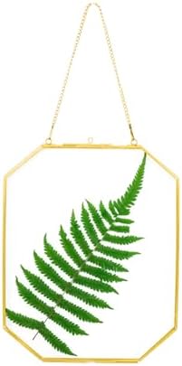 8x10 Inch Gold Pressed Flower Frame with Chain
