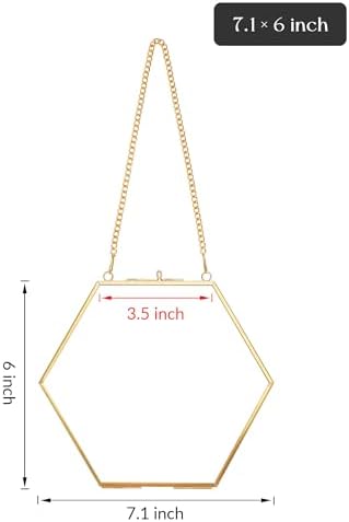 Redhugo Glass Pressed Flower Frame Hexagon Gold Brass Wall Hanging
