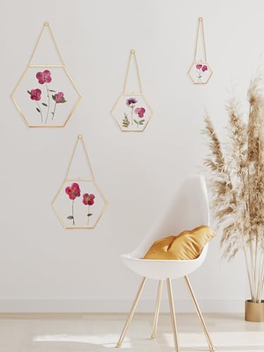 Redhugo Glass Pressed Flower Frame Hexagon Gold Brass Wall Hanging