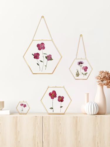 Redhugo Glass Pressed Flower Frame Hexagon Gold Brass Wall Hanging