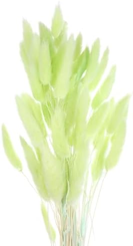 MECCANIXITY 60pcs 24 Inch Dried Pampas Grass Bunches