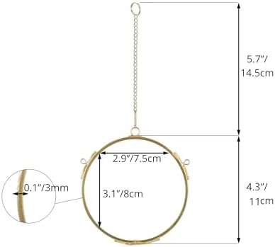 NCYP 43 Inch Double Glass Floating Frame for Photos and Pressed Flowers