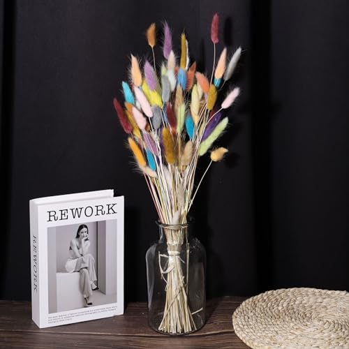 MECCANIXITY 60pcs 24 Inch Dried Pampas Grass Bunches