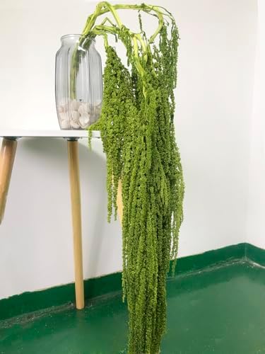 5 Piece Bleached Wisteria Hanging Vine for Wedding Decor