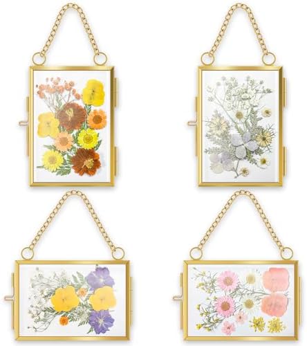 4Pcs Glass Pressed Flower Frames for Wall Decor