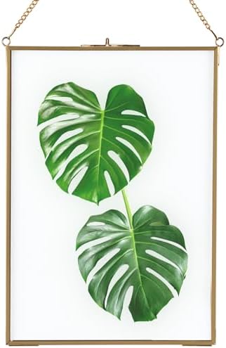 HighFree Double Glass Floating Frame for Dried Flowers