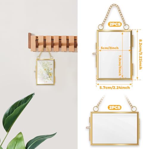 4 Pcs Hanging Pressed Flower Frames with Metal Chain