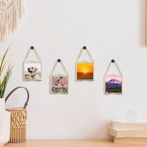 4 Pack Mini Brass Frame for Pressed Flowers Art Display