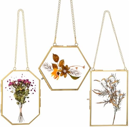 3 Pcs Brass Pressed Flower Frames with Chain