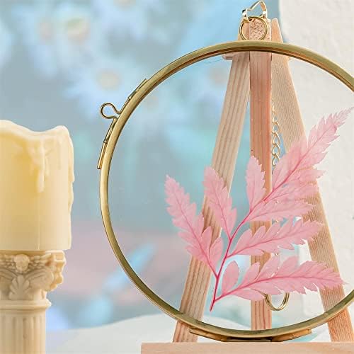 NCYP 43 Inch Double Glass Floating Frame for Photos and Pressed Flowers
