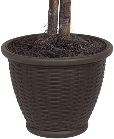 Vickerman 4 Artificial Green Smilax Bush with Decorative Container