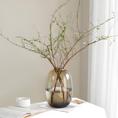 GeLive Brown Glass Vase Round Clear Colored