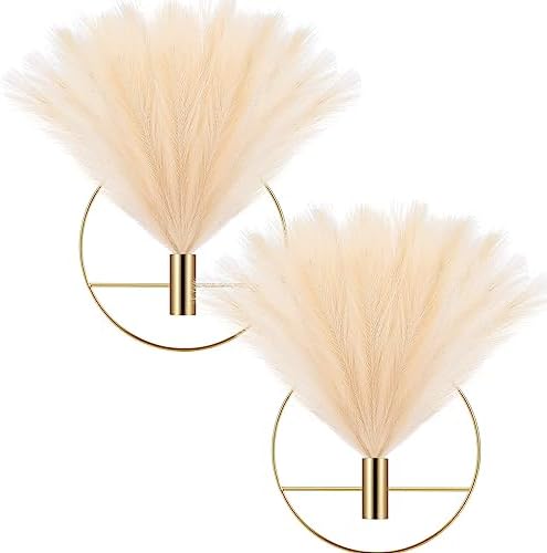 Wesiti 2 Piece Boho Pampas Wall Decor Set