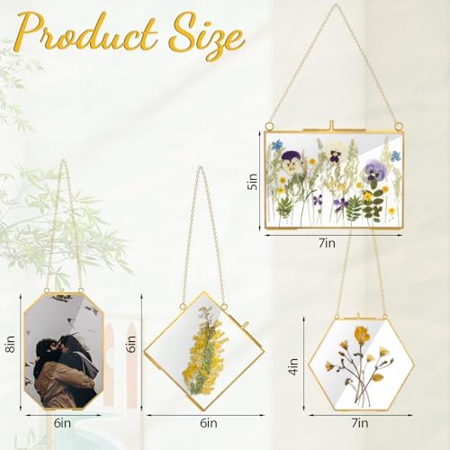 4 Pcs Gold Hanging Glass Picture Frame for DIY Pressed Flower Display