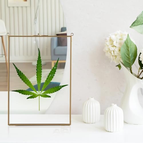 HighFree Double Glass Floating Frame for Dried Flowers