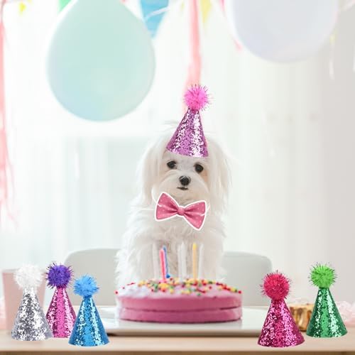 Delaimastor Mini Party Hats with Bow Ties 10 Pack