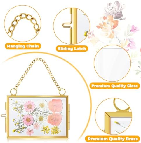 4 Pcs Hanging Pressed Flower Frames with Metal Chain