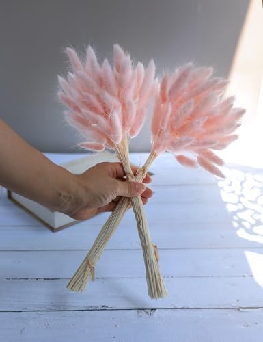 Xins Convey 120pcs Dried Bunny Tail Pink Decor