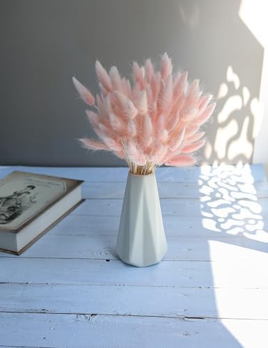 Xins Convey 120pcs Dried Bunny Tail Pink Decor