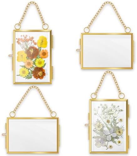 4 Pcs Hanging Pressed Flower Frames with Metal Chain