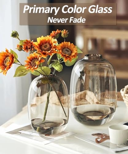 GeLive Brown Glass Vase Round Clear Colored