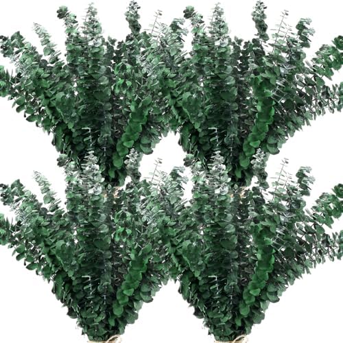 100 Pcs Large Dried Eucalyptus Stems for Home Decor