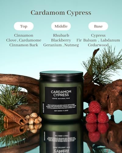 MSENSE Cardamon Cypress 2 Wick Jar Candle 116oz