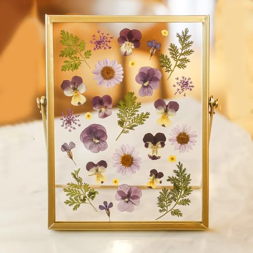 Golden Picture Frame with Double-Sided Glass Display