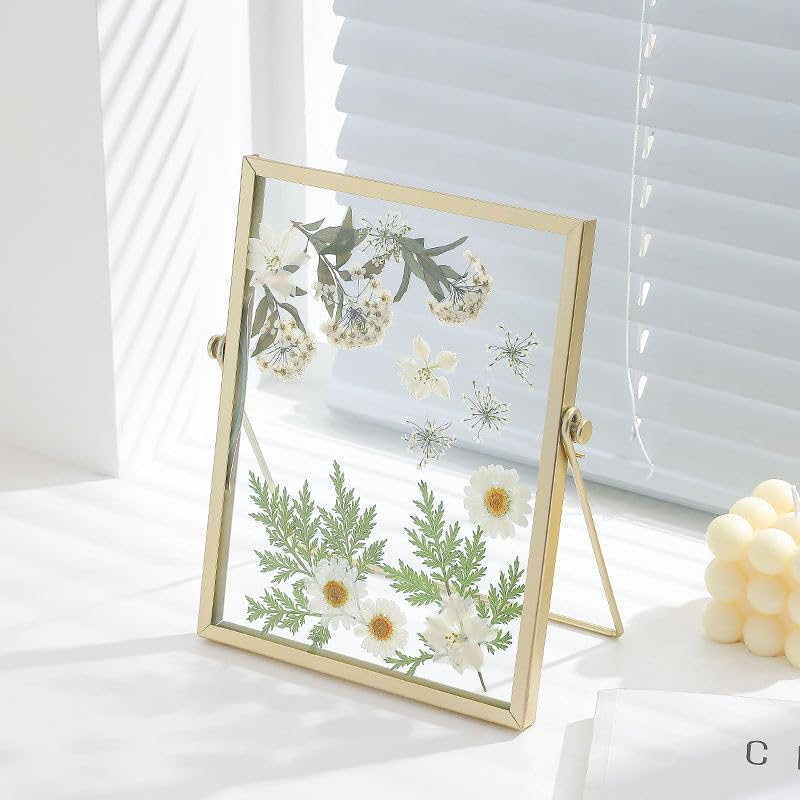 Yuragim A5 Glass Picture Frame Pack of 2
