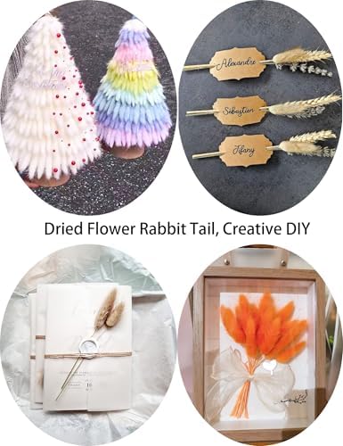 Xins Convey 120pcs Dried Bunny Tail Pink Decor