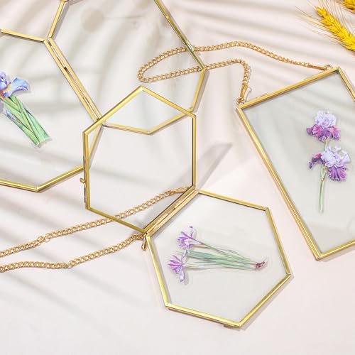 3 Pcs Brass Pressed Flower Frames with Chain
