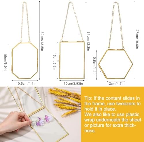 3 Pcs Brass Pressed Flower Frames with Chain