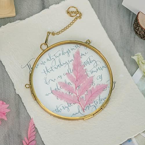 NCYP 43 Inch Double Glass Floating Frame for Photos and Pressed Flowers
