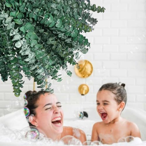 32Pcs Dried Eucalyptus Stems for Shower Decor