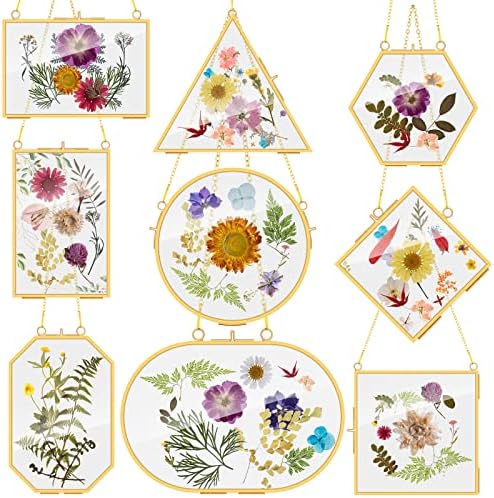 Reginary 9 Pcs Gold Brass Pressed Flower Frames