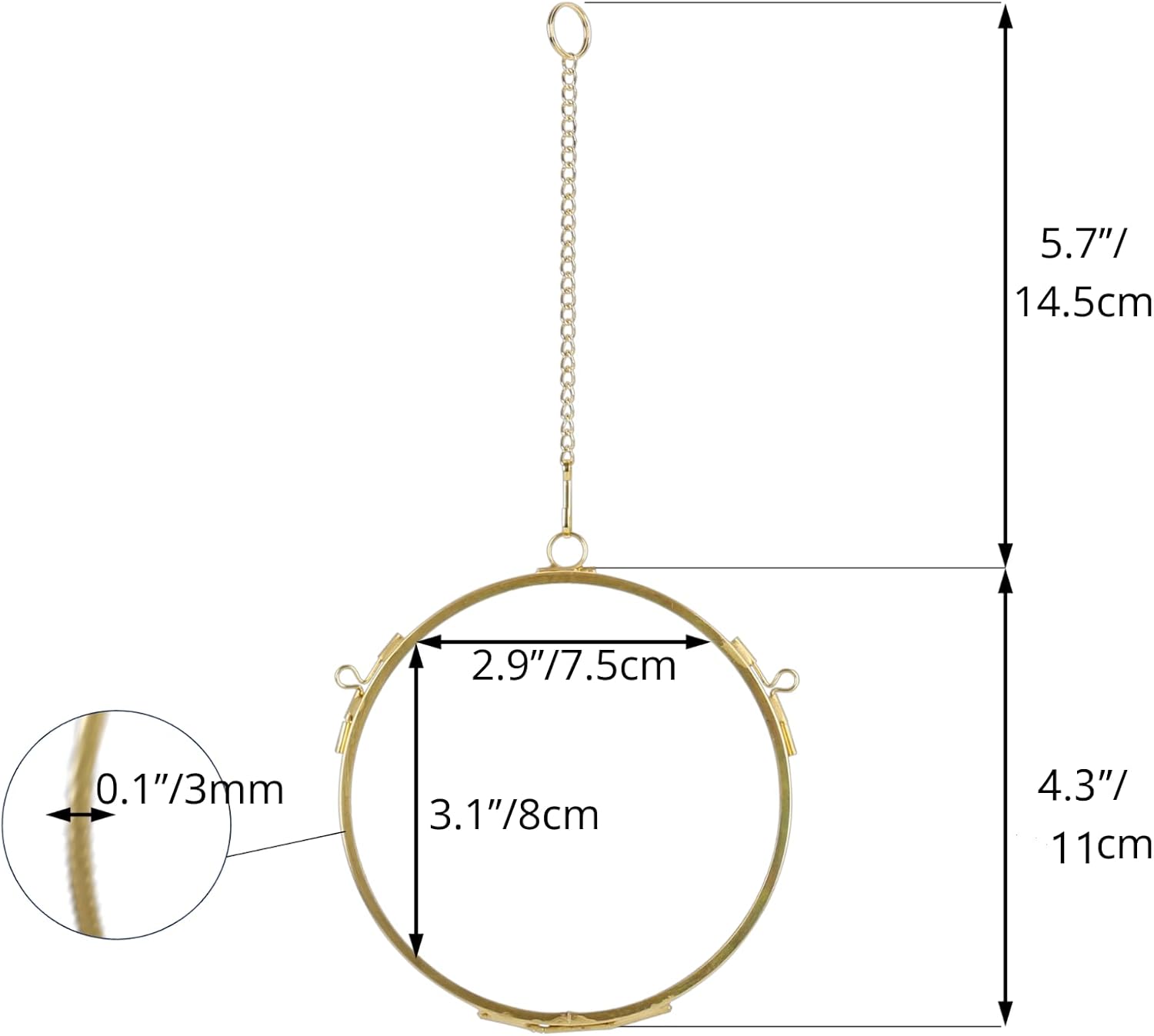 NCYP 43 Inch Double Glass Floating Frame for Photos and Pressed Flowers
