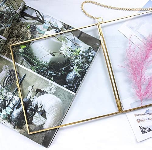 NCYP Double Glass Frame 8x8 Inch for Dried Flowers and Photos