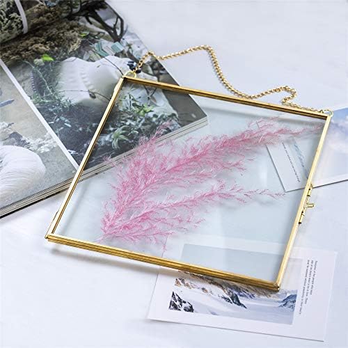 NCYP Double Glass Frame 8x8 Inch for Dried Flowers and Photos