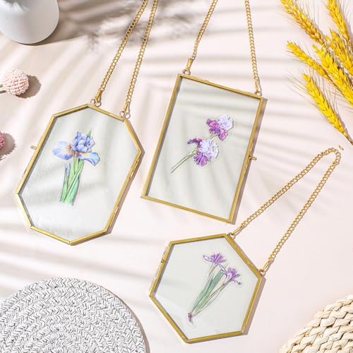 3 Pcs Brass Pressed Flower Frames with Chain