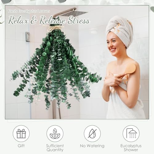 100 Pcs Large Dried Eucalyptus Stems for Home Decor