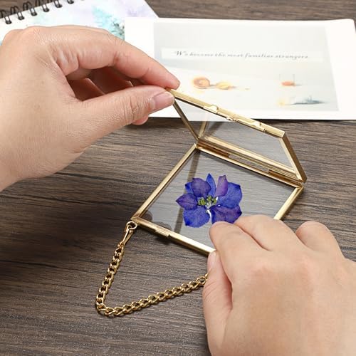 4 Pack Mini Brass Frame for Pressed Flowers Art Display