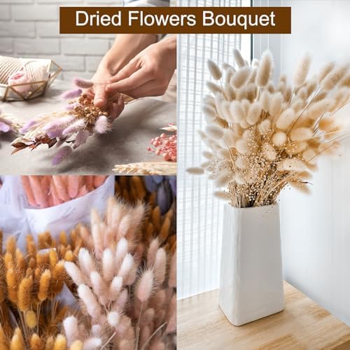 MECCANIXITY 60pcs 24 Inch Dried Pampas Grass Bunches