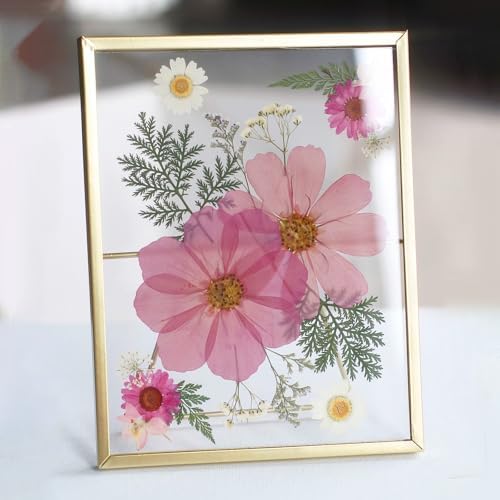 Golden Picture Frame with Double-Sided Glass Display