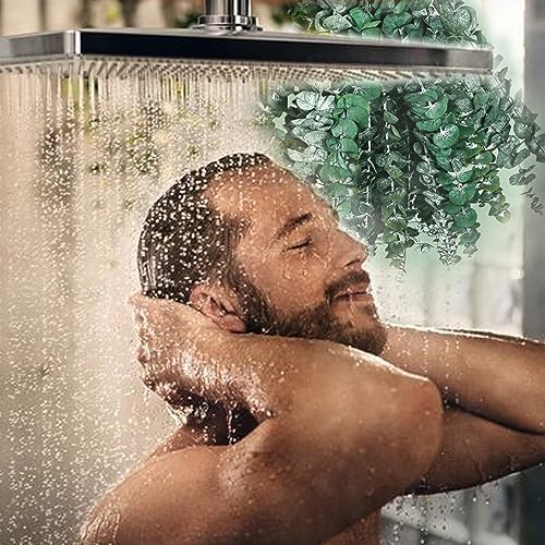 32Pcs Dried Eucalyptus Stems for Shower Decor