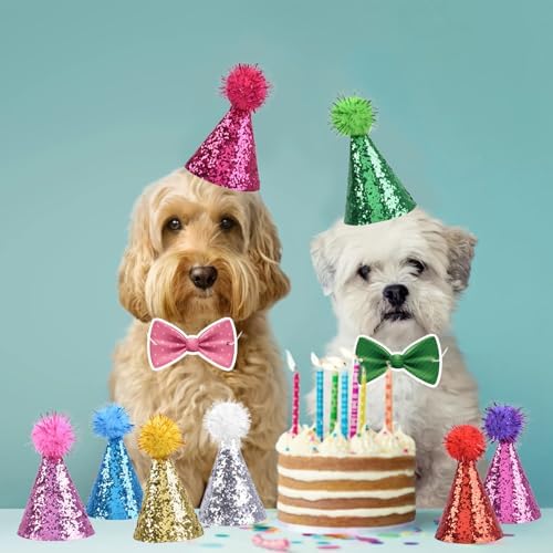 Delaimastor Mini Party Hats with Bow Ties 10 Pack