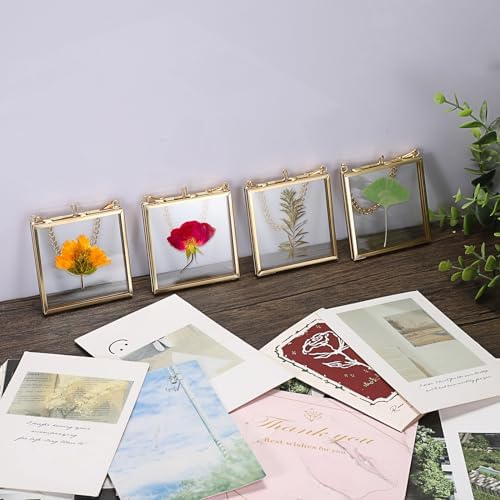 4 Pack Mini Brass Frame for Pressed Flowers Art Display