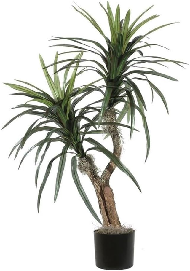 Vickerman 4 Artificial Marginata Bush in Black Pot